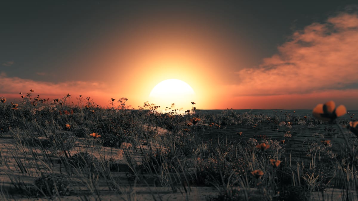 Grass Color Grading—Part 2